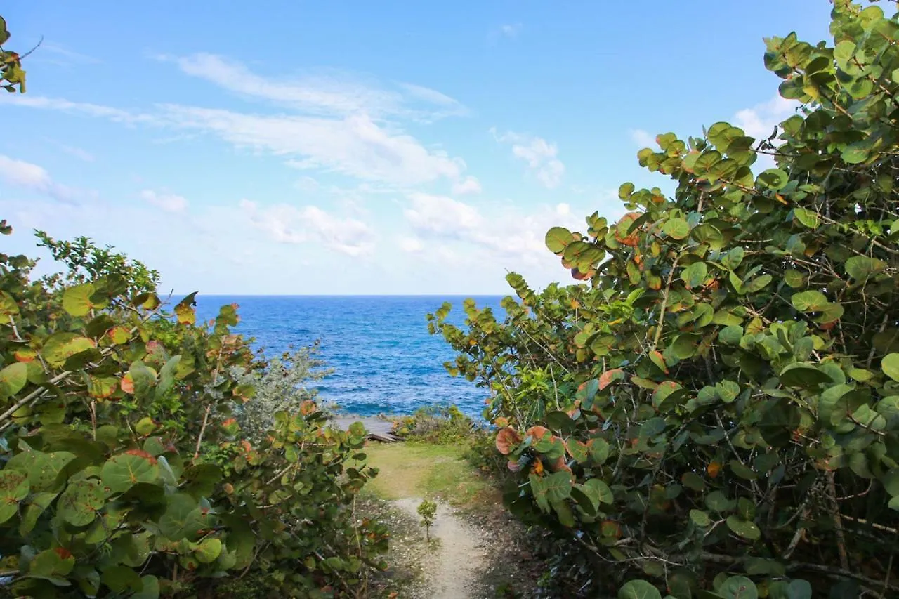Alojamento de Turismo Selvagem Great Huts Vila Boston Bay Jamaica